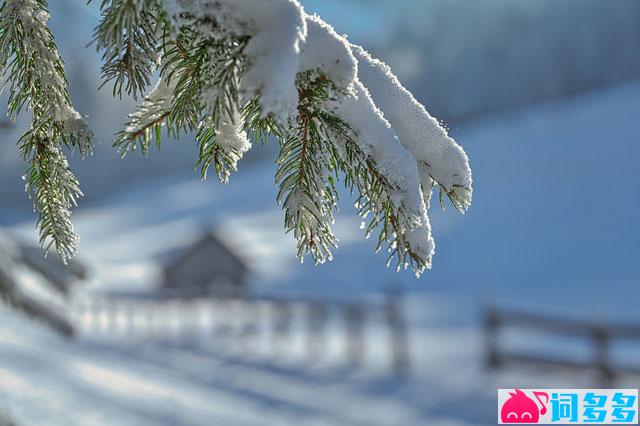 蒋雪儿《落了白》歌词