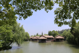 尹昔眠《悸动暗语》歌词