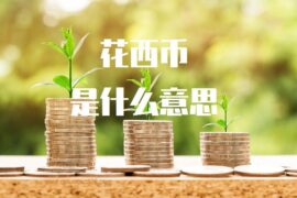 花西币是什么意思