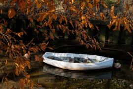 杨烁《小白船》歌词