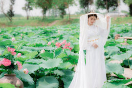 丁当《白头吟》歌词