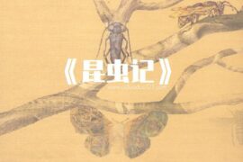 《昆虫记》好词好句高清封面图片