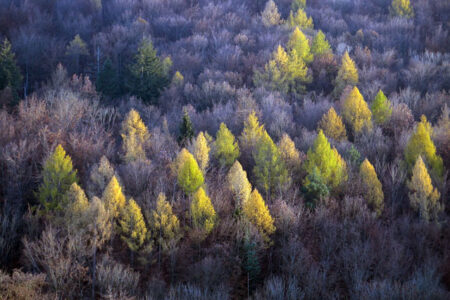 群星《八部众曲》歌词