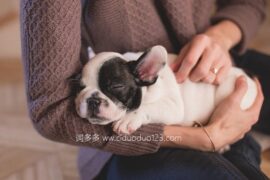 适合睡前发朋友圈的句子精选16句