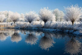 描写冬天的诗句，赞美冬天的唯美古诗