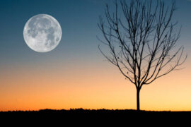 描写月亮的诗句，有关月亮的优美古诗精选