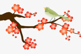 梅花古诗句，描写梅花的著名诗句