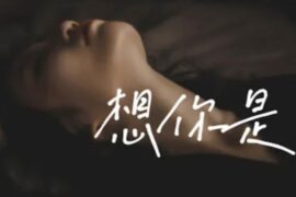 赵乃吉《想你是》歌曲歌词配图