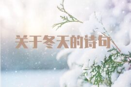 关于冬天的诗句