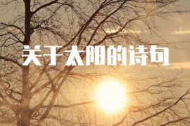 关于太阳的诗句