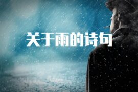 关于雨的诗句
