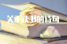 关于读书的诗句（优选60句）