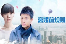 离婚前规则经典台词