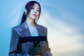 张靓颖《双关》完整版歌词