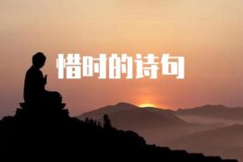 形容珍惜时间惜时的诗句