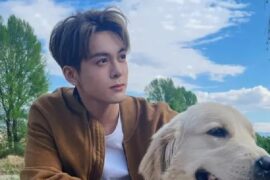 曾舜晞《迷失情感迷宫》完整版歌词