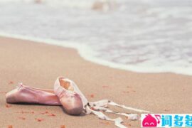 每天一句励志正能量语录