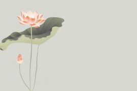 精致又很唯美的高质量文案短句