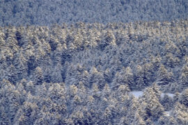 2024最火经典语录