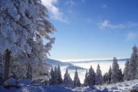 24节气小雪的优美诗句