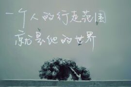 520表白浪漫的句子祝有情人终成眷属