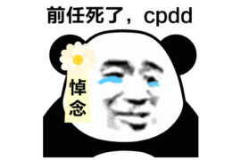 CPDD是什么意思？网络用语CPDD暗语详解