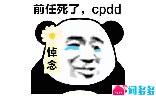 CPDD是什么意思？网络用语CPDD暗语详解