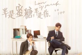 《半是蜜糖半是伤》经典励志台词语录