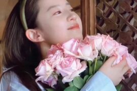 《去有风的地方》人间清醒台词