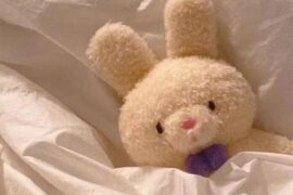 一天一句治愈心情的唯美句子