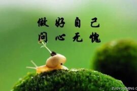 不求事事完美只求问心无愧的个性签名