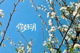 二月结束三月开始的句子