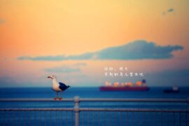 简短精辟让人顿悟的人生感悟句子