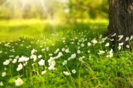 人间值得治愈系句子