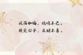 令人惊艳的短句情话