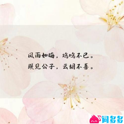 令人惊艳的短句情话