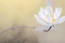 佛教最高境界禅意句子