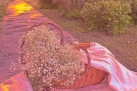 值得永久保存的温柔句子