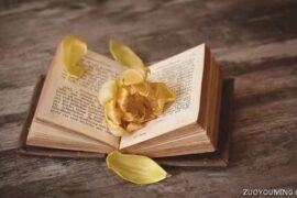 值得珍藏许久的文艺短句