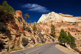 元旦节的诗句文案