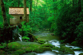 八个字激励短句霸气