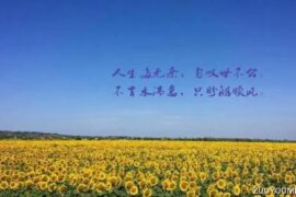 关于对生活无奈的说说