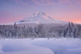 关于小雪节气的古诗