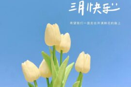 关于春天的治愈系浪漫文案