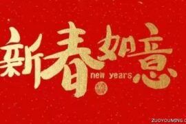 关于春节的名人名言