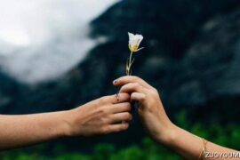 关于爱情距离的句子