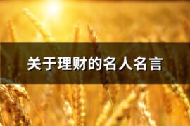 关于理财的名人名言(必备41句)