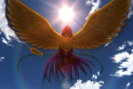 凤凰男是什么梗