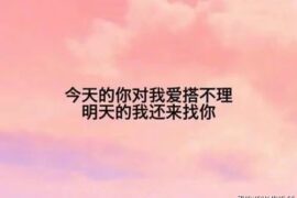 别出心裁的情话文案（想你了的情话句子）