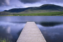 努力才有收获的励志语